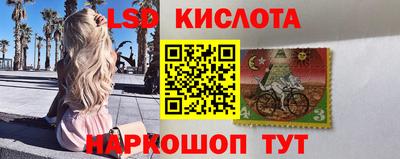 прущие грибы Лесной
