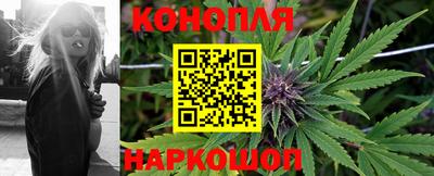 альфа пвп Ленинск-Кузнецкий