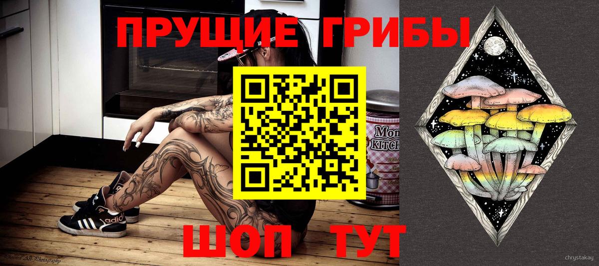 Псилоцибиновые грибы Psilocybe  Вход с VPN  Истра  Псилоцибиновые грибы Psilocybe 